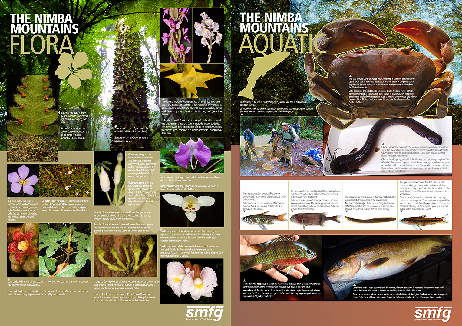 Mount Nimba Project Public Consultation Posters