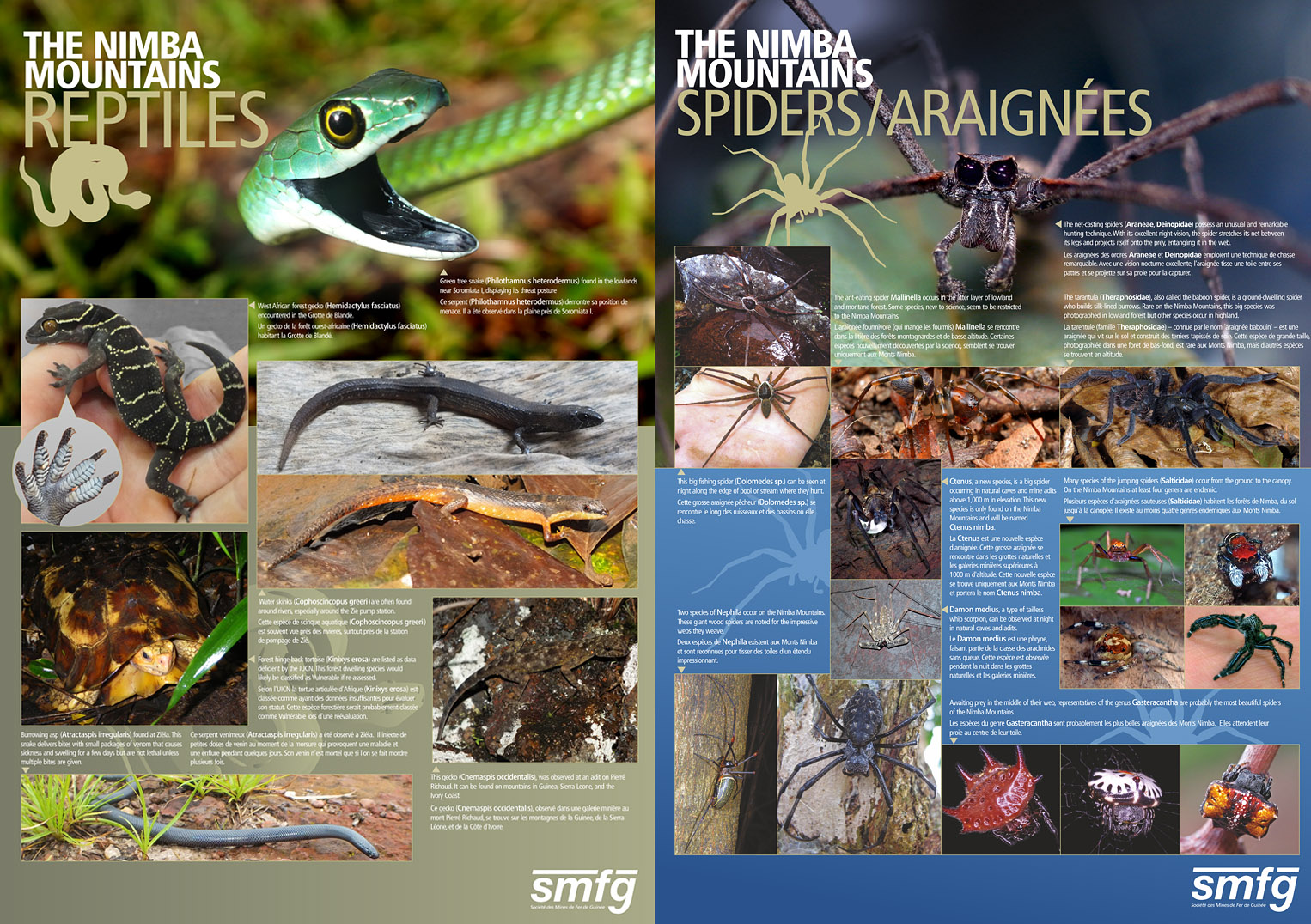 Mount Nimba Project Public Consultation Posters