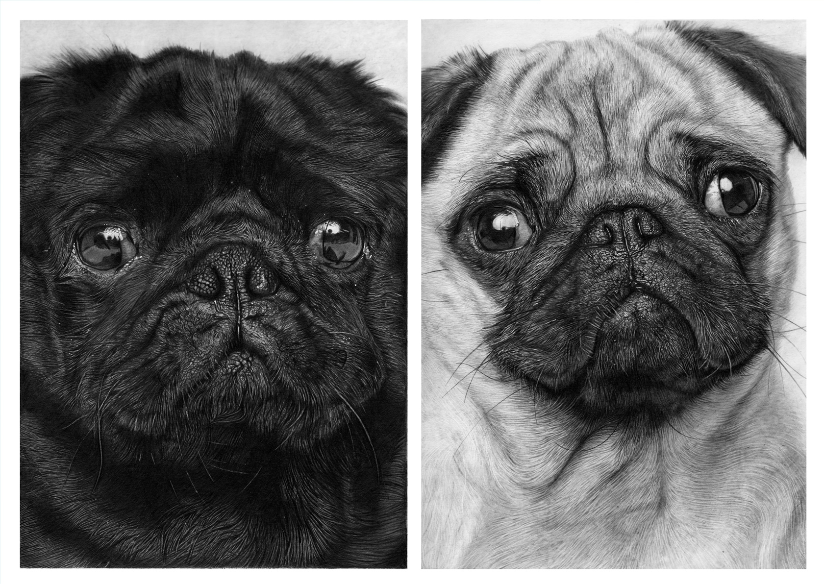 Magazine and Brochure Layout Designs