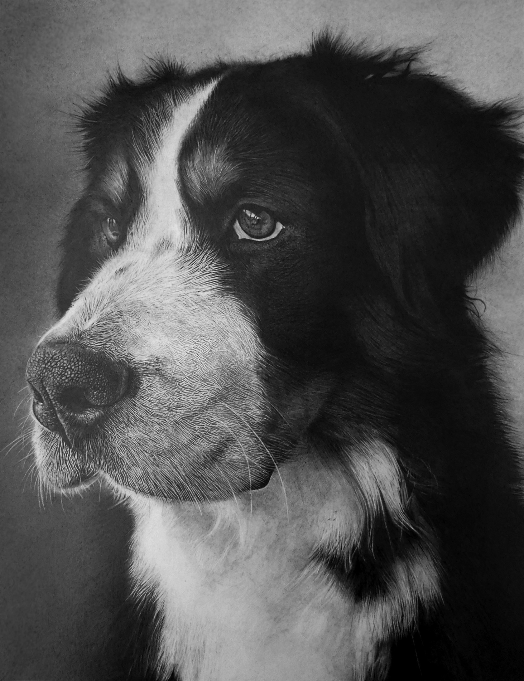 Magazine and Brochure Layout Designs